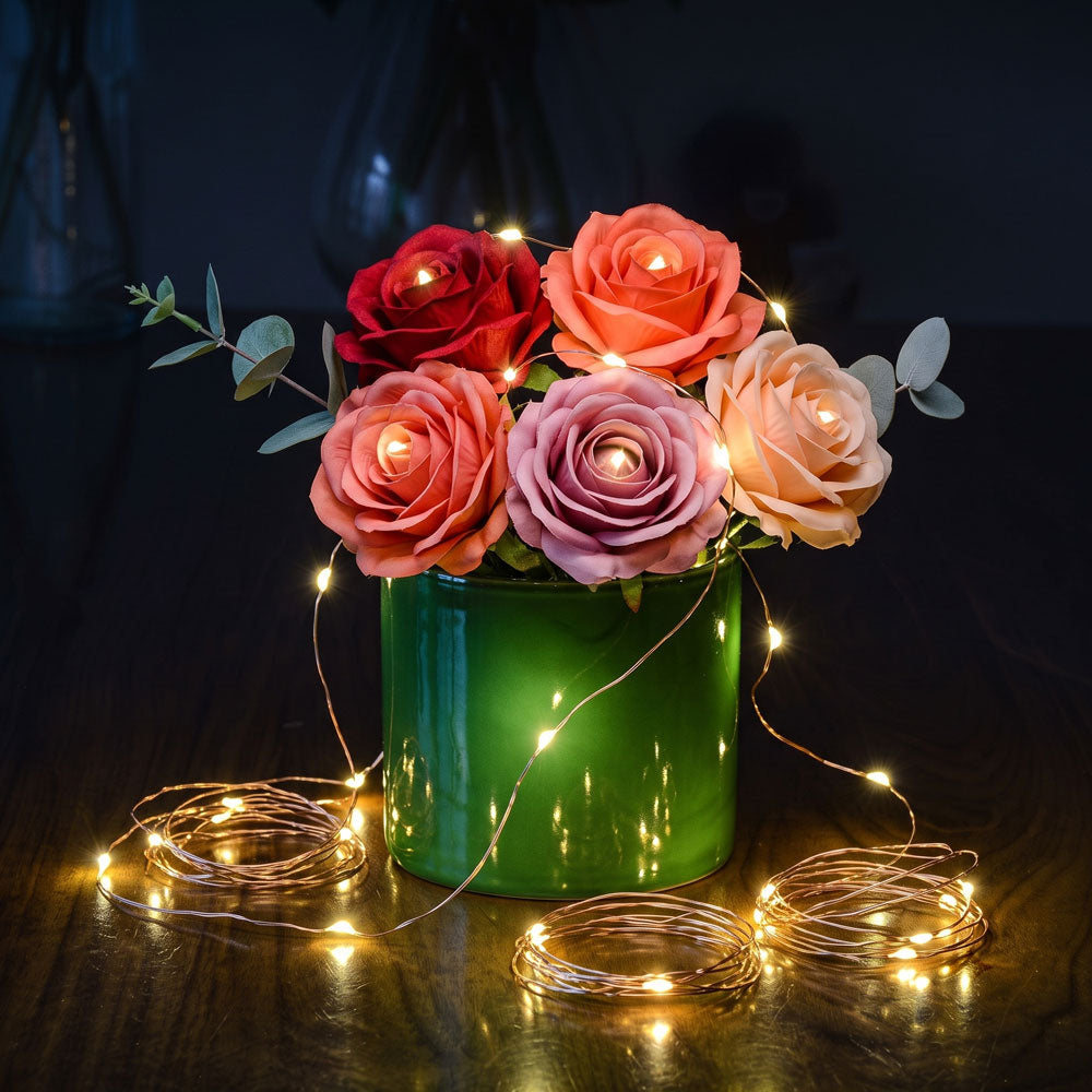 Fairy Lights